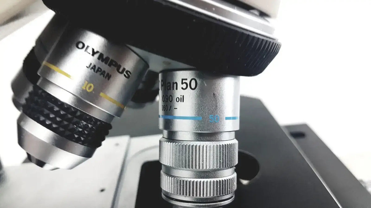 Olympus BH2 BHS Phase Contrast DIC Nomarski Microscope Microscope, second-hand product photo 8