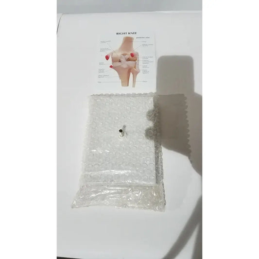 Right knee anatomical model wrapped in clear bubble packaging showing labeled life-size joint structure for medical education