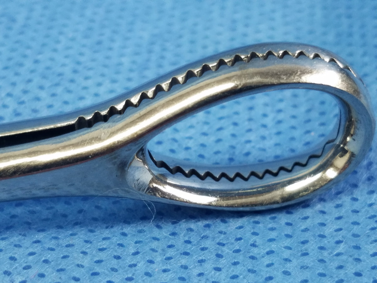 S.S. Pakistan Foerster Sponge Holding Forceps Straight Surgical Instrument
