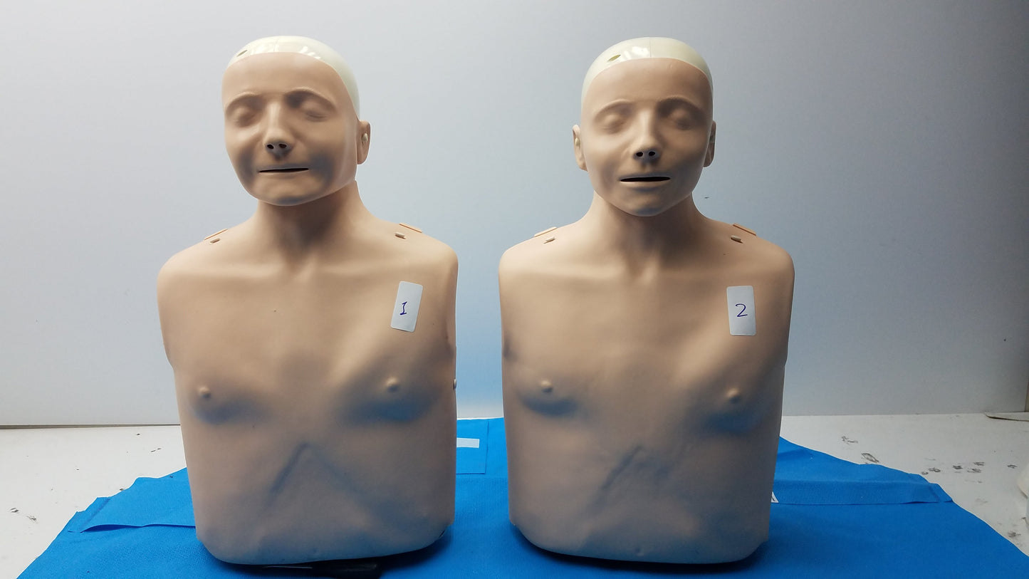 Lot of 2 Laerdal Little Anne Adult CPR Training Manikin Torsos EMS