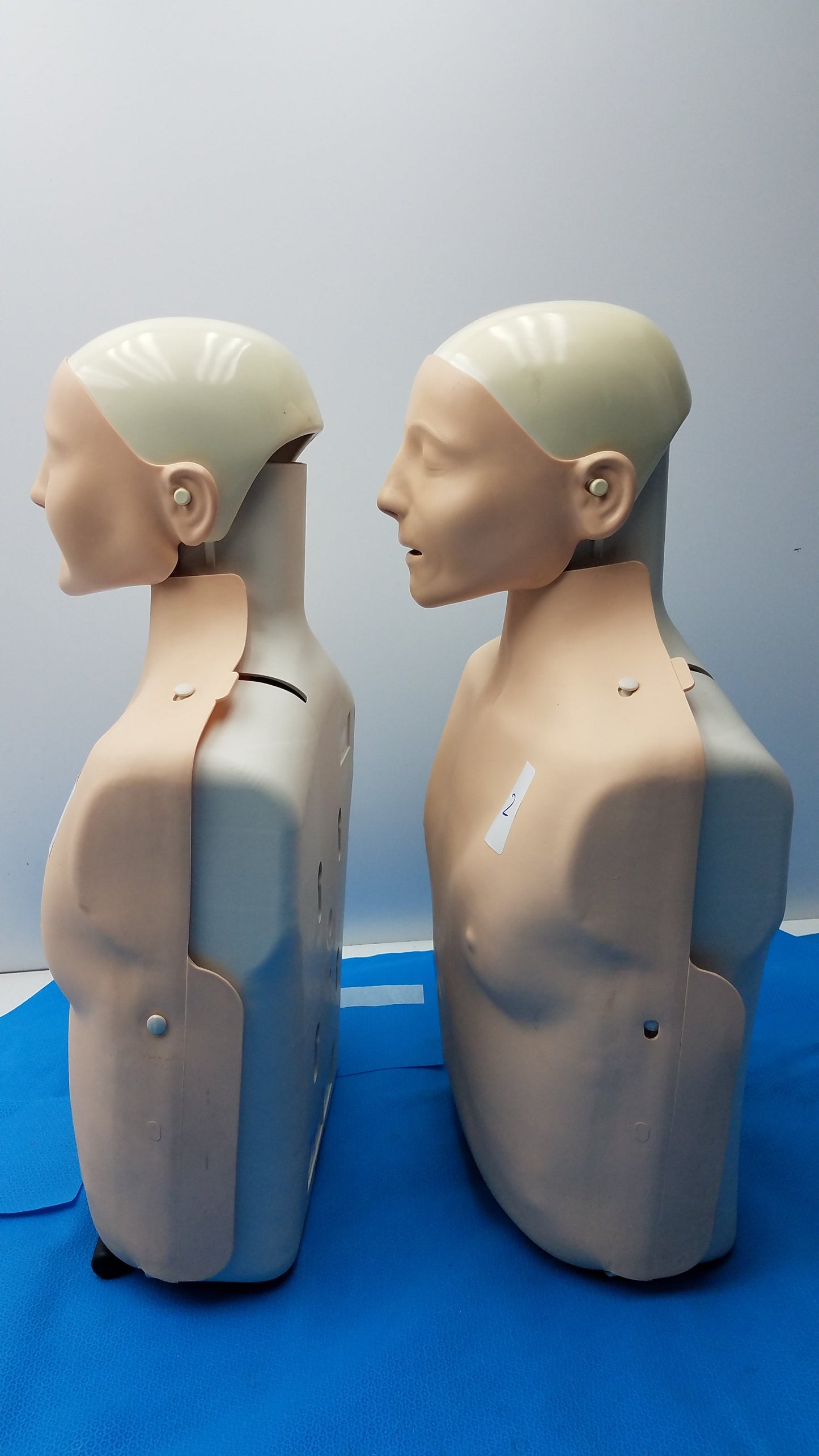 Lot of 2 Laerdal Little Anne Adult CPR Training Manikin Torsos EMS