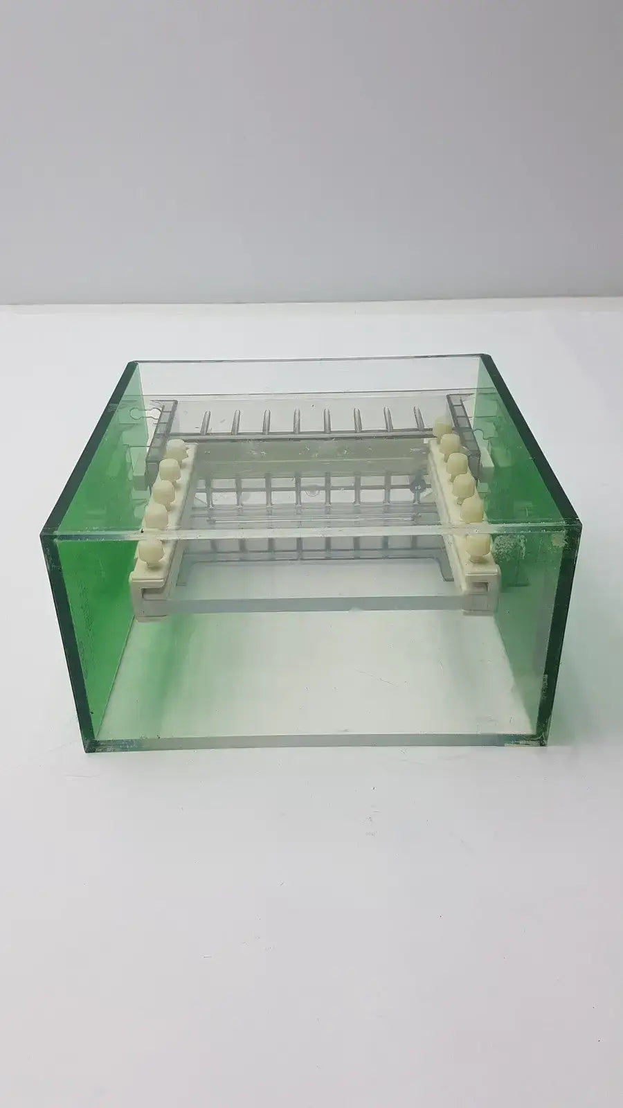 Bio-Rad Protean Dual Vertical Slab Gel Electrophoresis Cell Gel Electrophoresis Cell, second-hand product photo 7
