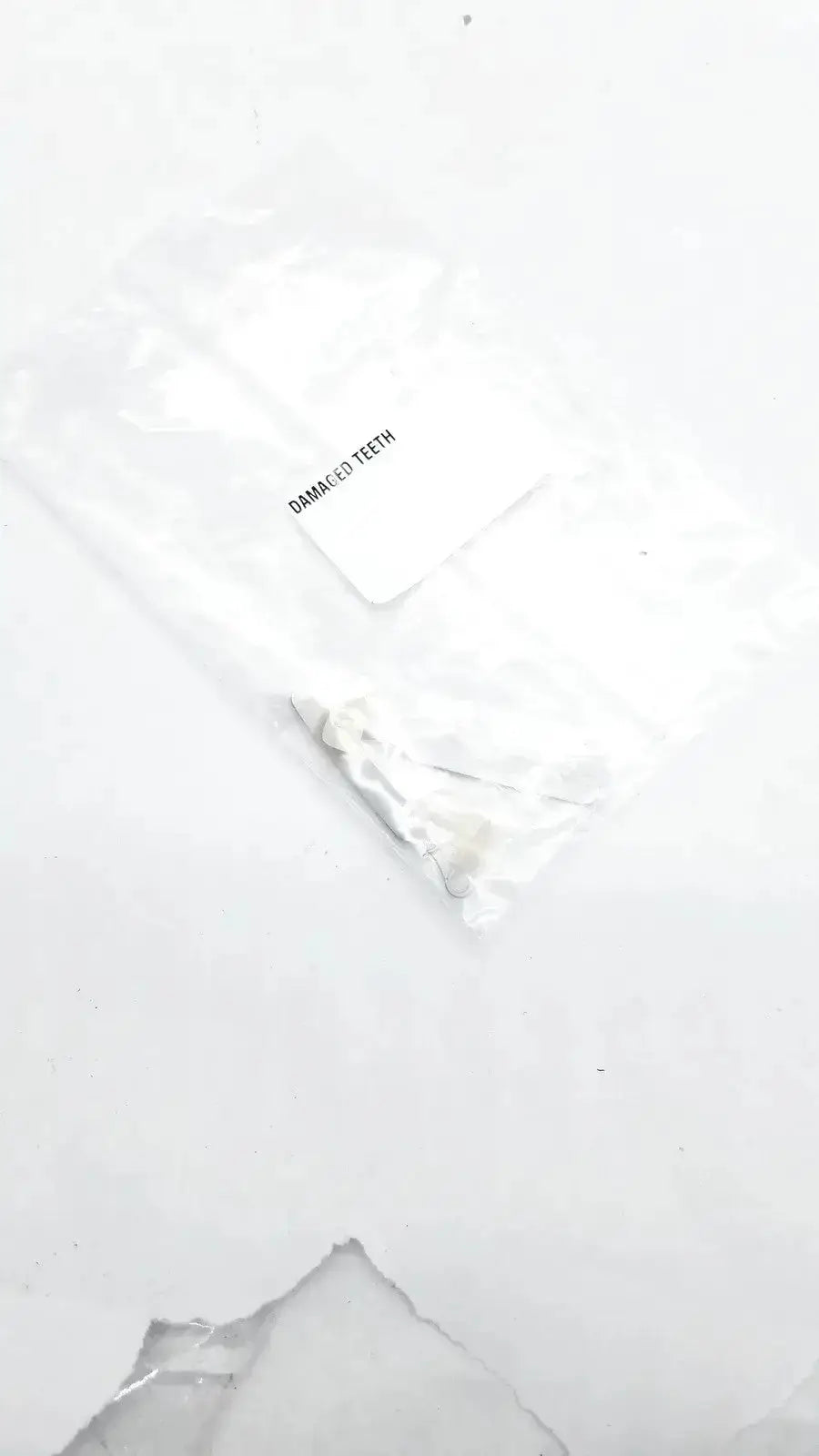 Unknown Damaged Teeth Portrait IPN C1 P21 Denture Teeth, second-hand product photo 2