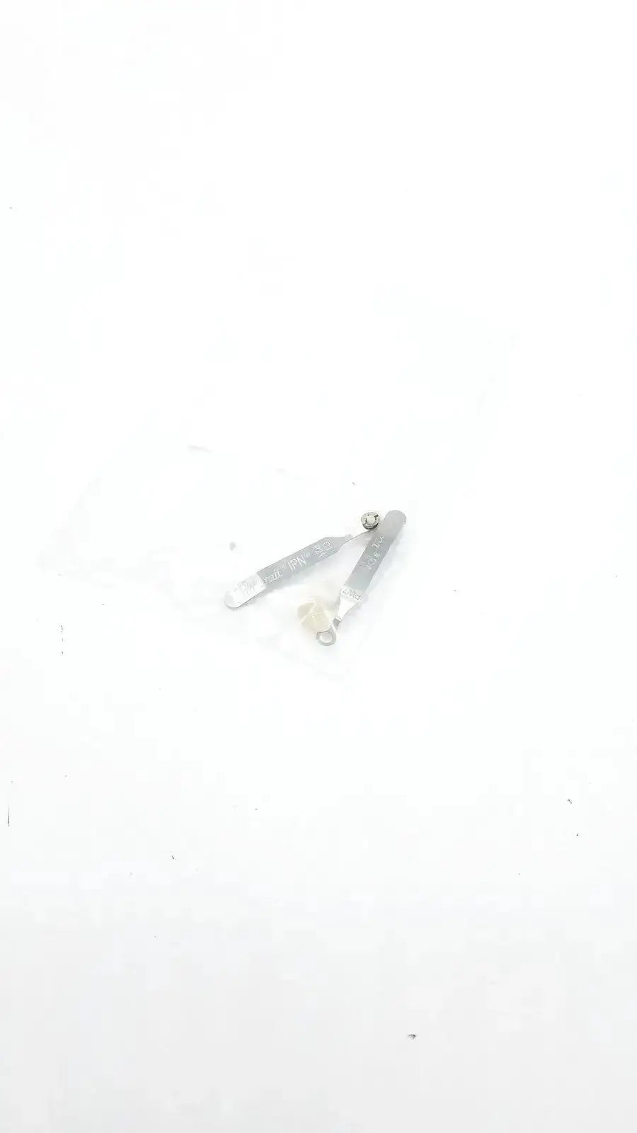 Unknown Damaged Teeth Portrait IPN C1 P21 Denture Teeth, second-hand product photo 3