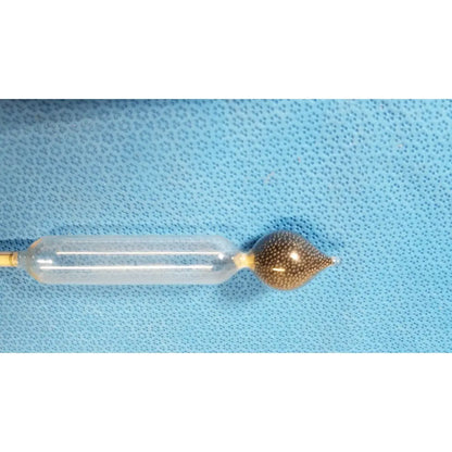 Transparent plastic fishing float with gold metal eyelet and dark brown buoyant head for specific gravity hydrometer scale light liquids temp