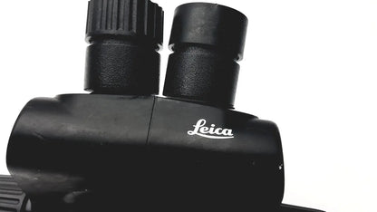 Black Leica GZ6T stereo zoom binoculars with textured rubber eyecups and sleek matte finish for precise microscopy