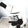 Leica Microscope Model DM1000 with Heads