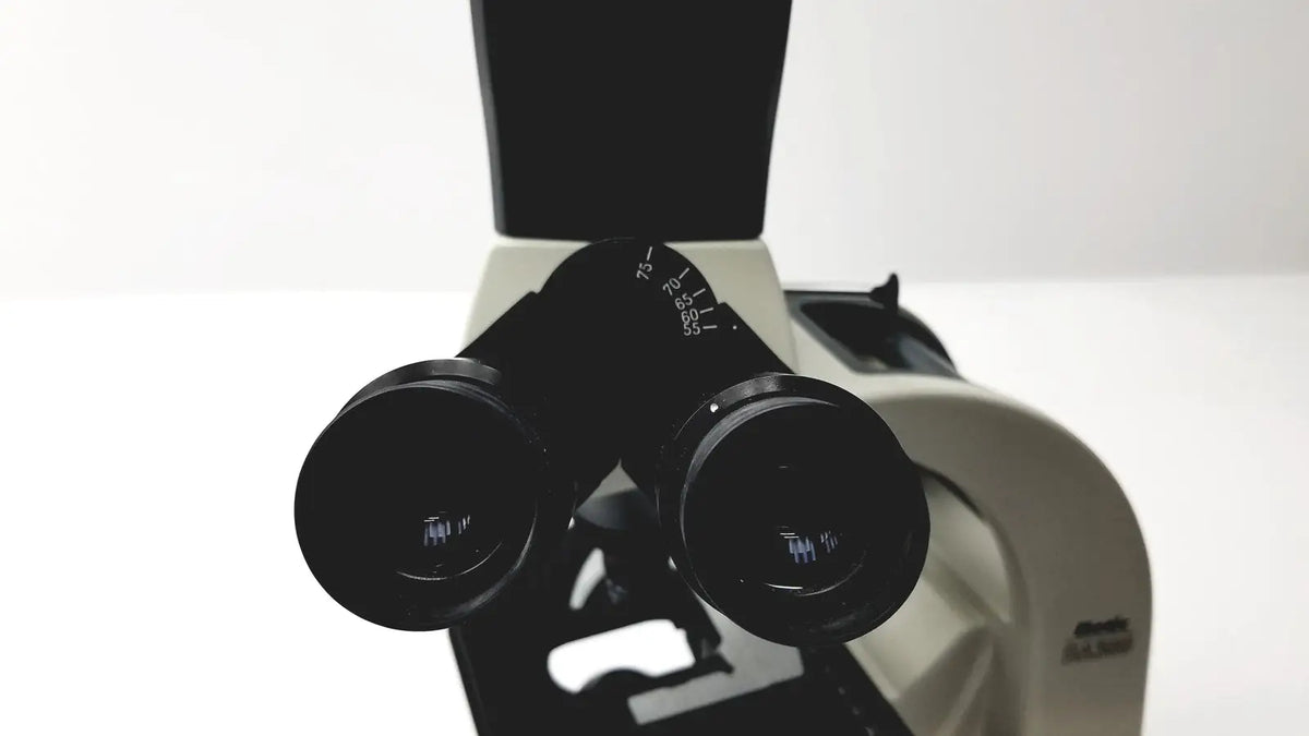 Black binocular eyepieces with silver metallic accents and engravings on the motic ba300 biological microscope