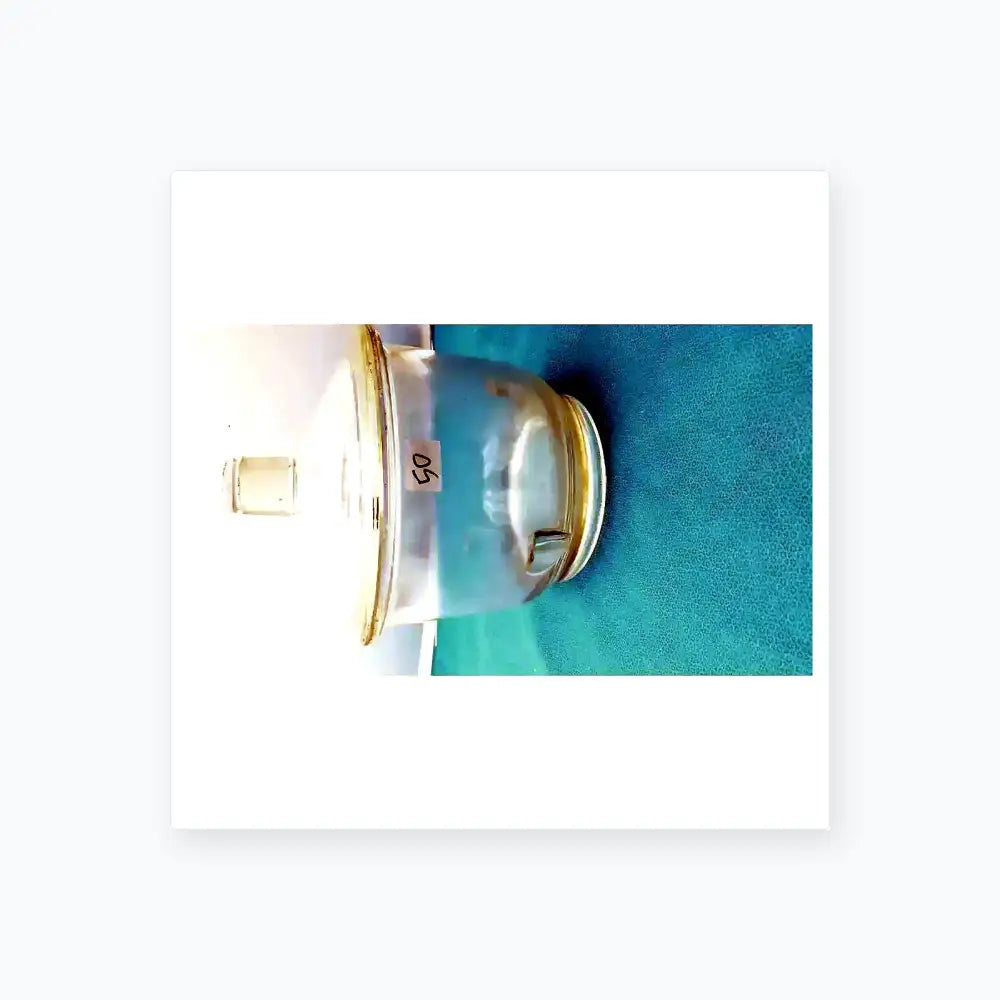 Pyrex 9" Vacuum Desiccator Jar with Plastic Canvas Plate Vacuum Desiccator Jar, second-hand product photo 1