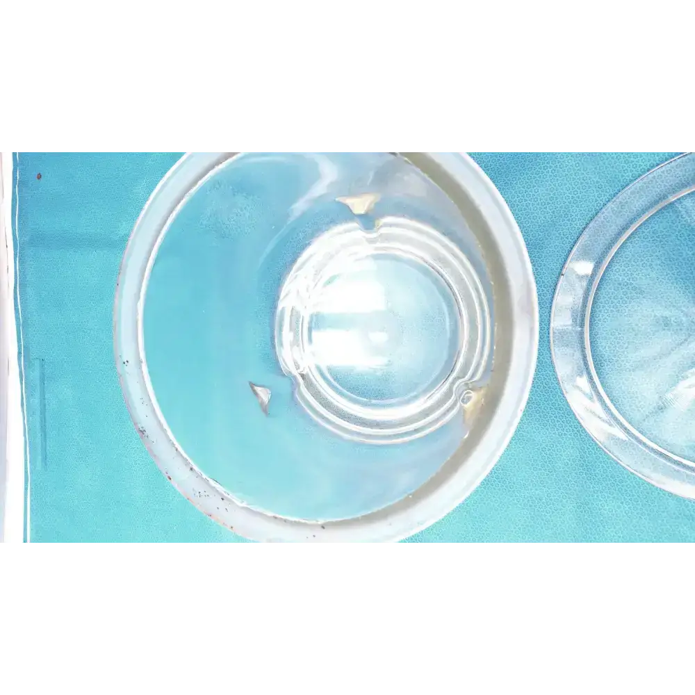 Pyrex 9" Vacuum Desiccator Jar with Plastic Canvas Plate Vacuum Desiccator Jar, second-hand product photo 6