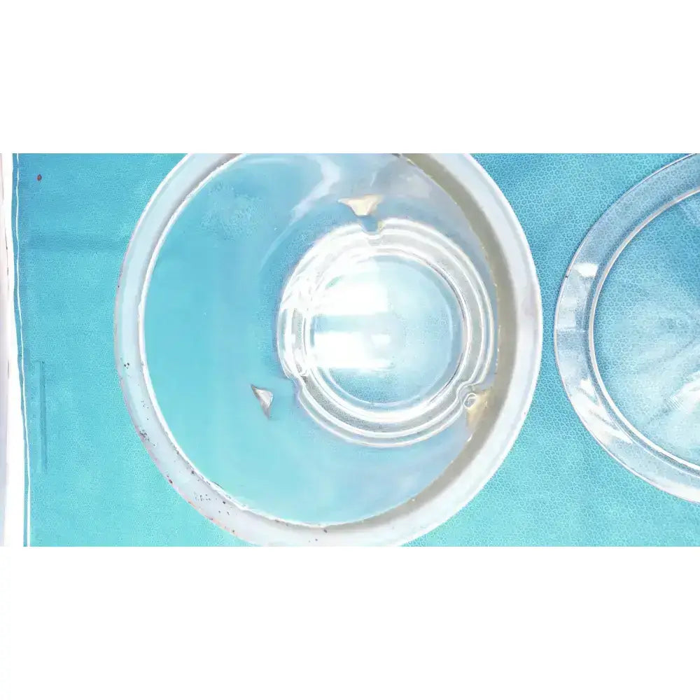 Pyrex 9" Vacuum Desiccator Jar with Plastic Canvas Plate Vacuum Desiccator Jar, second-hand product photo 6