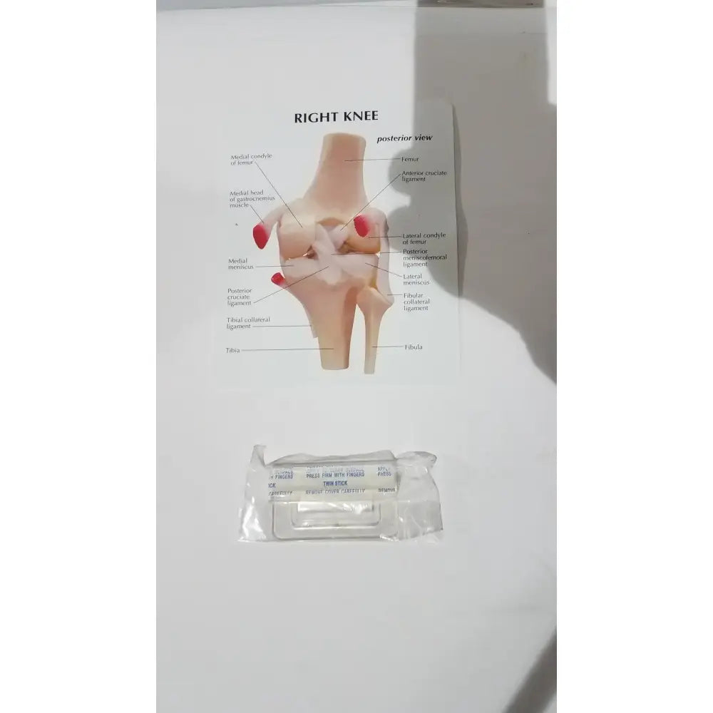 Reuse Medical Right Knee Anatomical Model – Life-Size Joint Structure for Medical Education Centrifuge Tubes, second-hand product photo 1