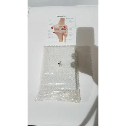 Right knee anatomical model wrapped in clear bubble packaging showing labeled life-size joint structure for medical education