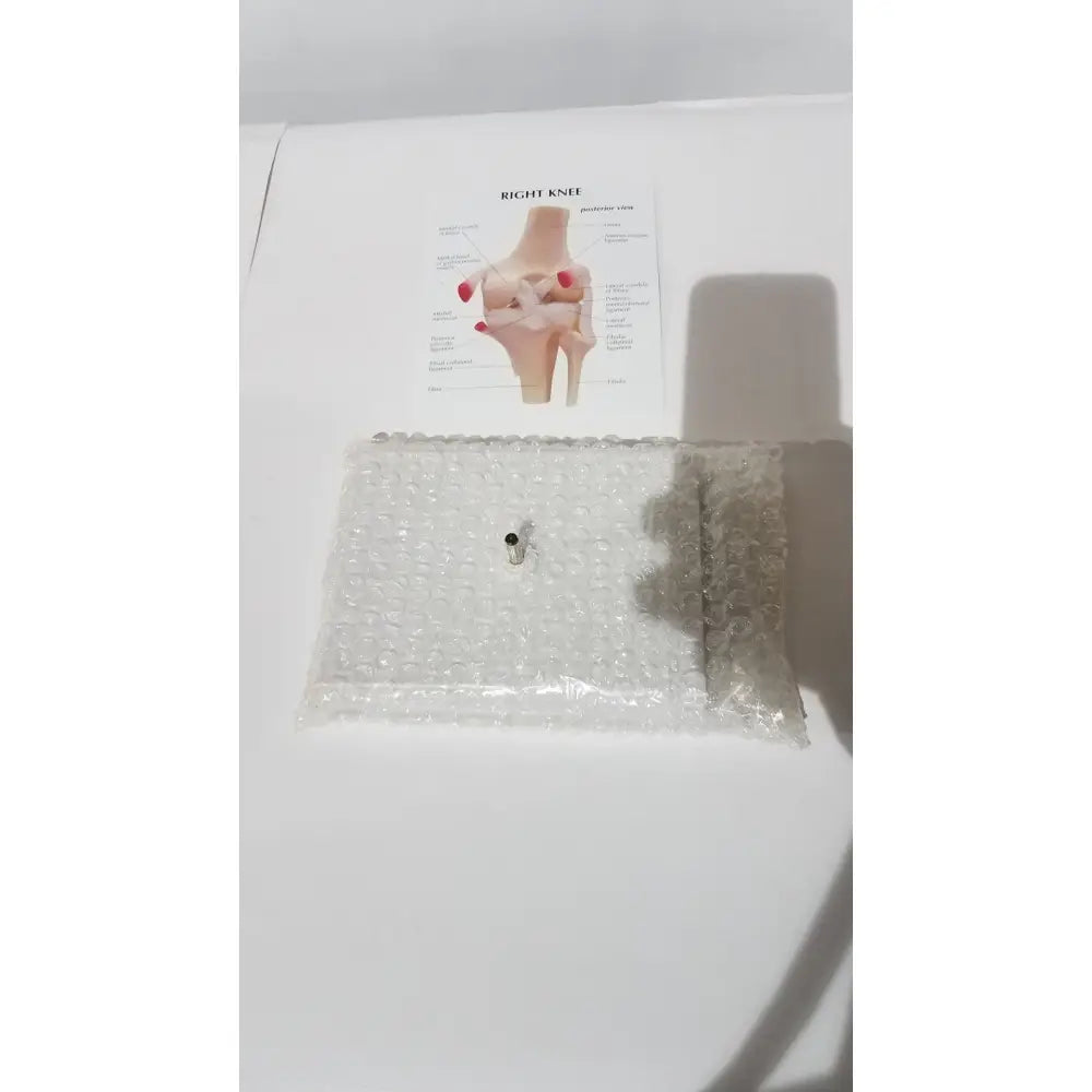 Right knee anatomical model wrapped in clear bubble wrap with a metallic clasp for medical education use