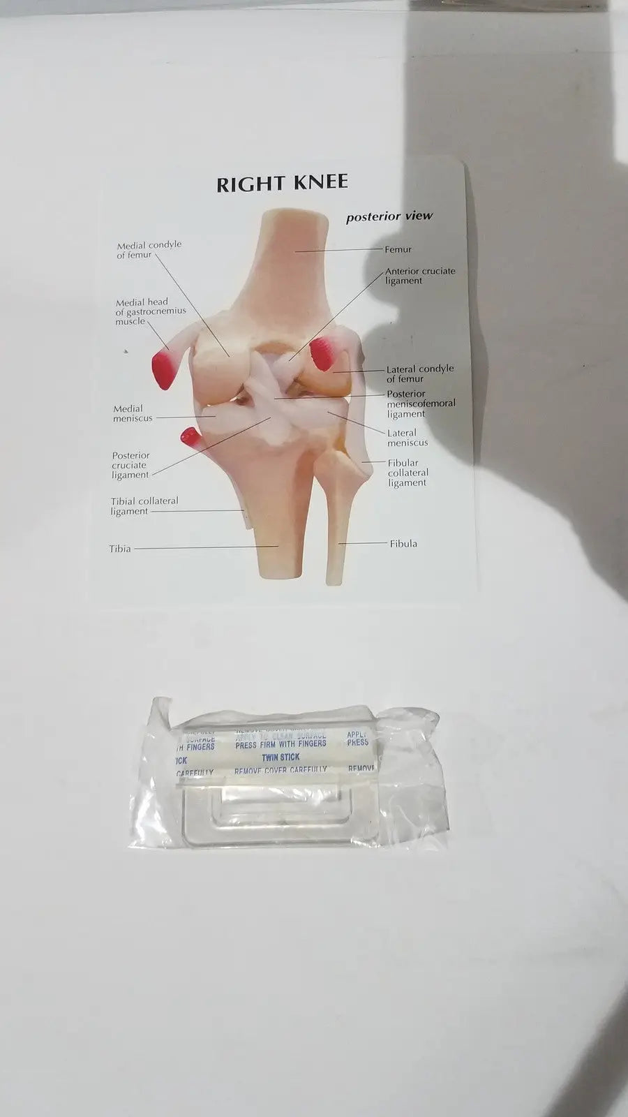 Reuse Medical Right Knee Anatomical Model – Life-Size Joint Structure for Medical Education Centrifuge Tubes, second-hand product photo 1