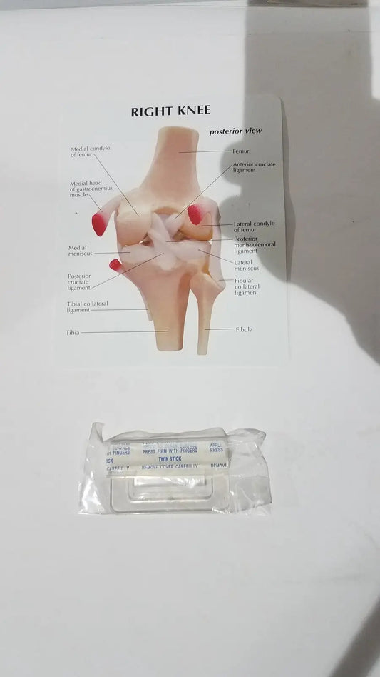 Reuse Medical Right Knee Anatomical Model – Life-Size Joint Structure for Medical Education Centrifuge Tubes, second-hand product photo 1