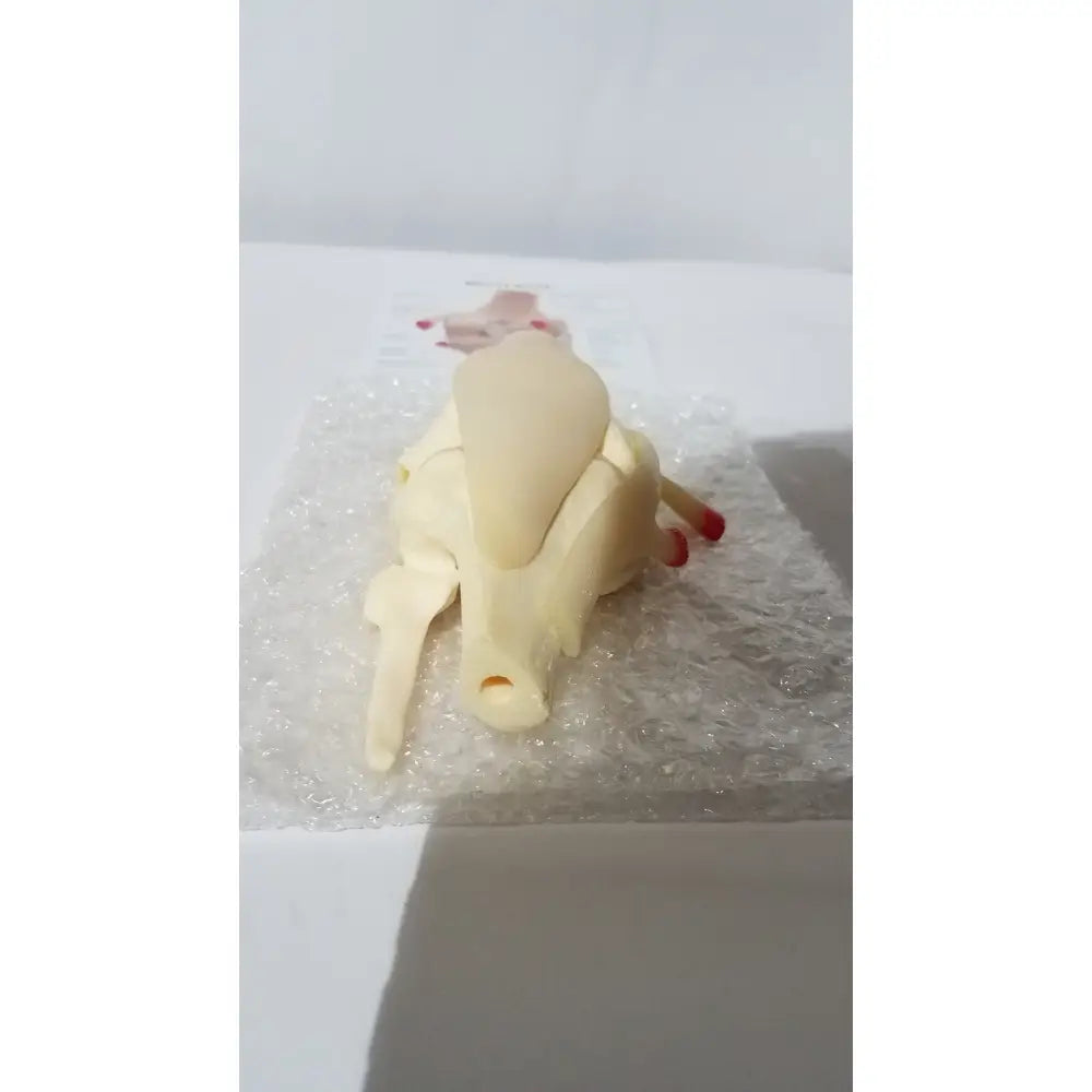 Beige plastic right knee anatomical model with red-tipped details lying on bubble wrap for medical education