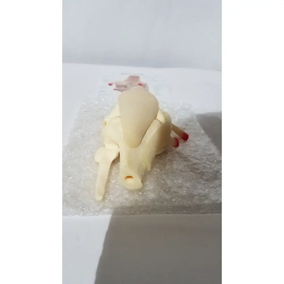Beige plastic right knee anatomical model with red-tipped details lying on bubble wrap for medical education