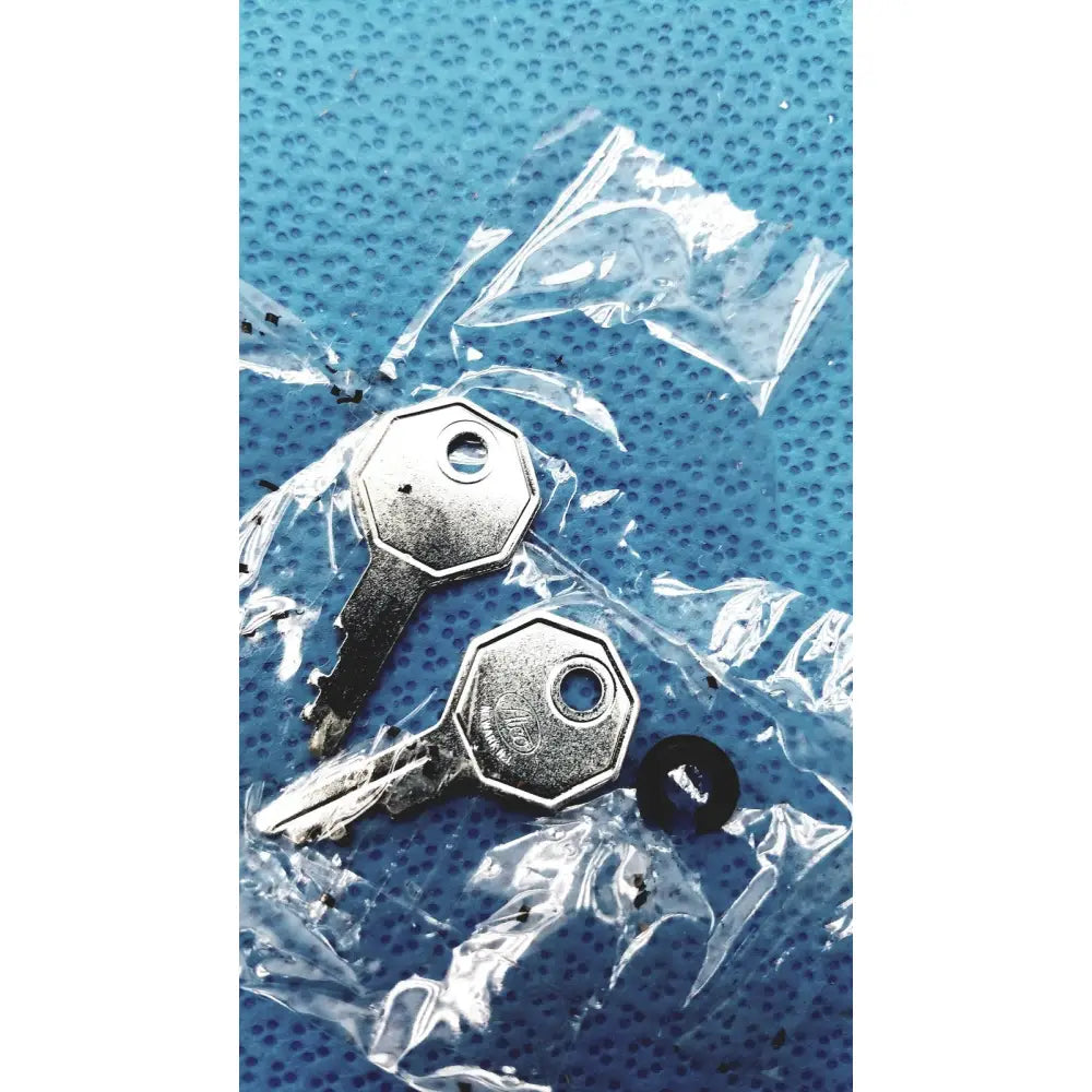 Two silver-toned octagonal-head metal keys in clear packaging for welch allyn 9600 plus calibration tester adapter